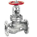 Globe Valve